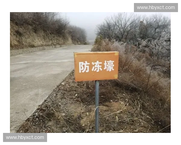 围绕专业护具技术创新与应用提升运动安全防护综合解决方案探索路径